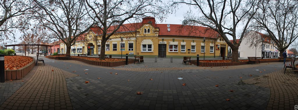 Mestská galéria Júliusa Bartu Štúrovo